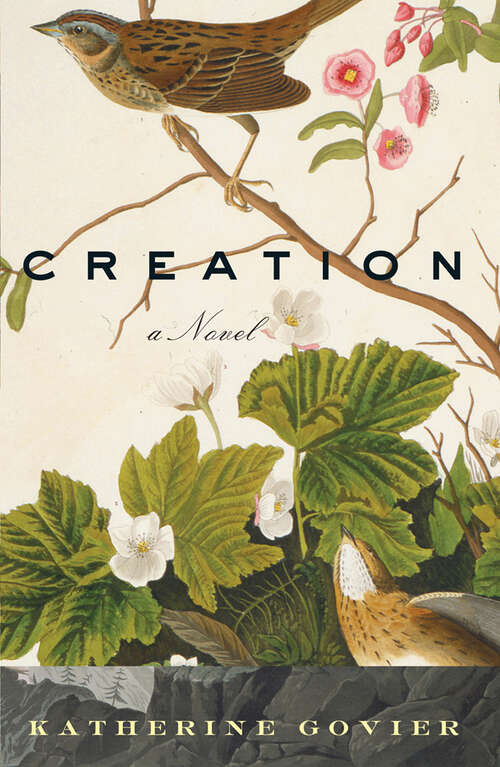 Book cover of Creation: A Novel
