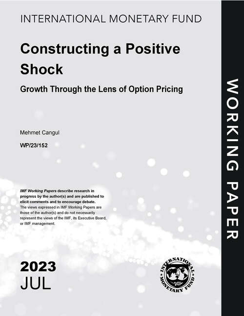Book cover of Constructing a Positive Shock: Growth Through the Lens of Option Pricing (Imf Working Papers)