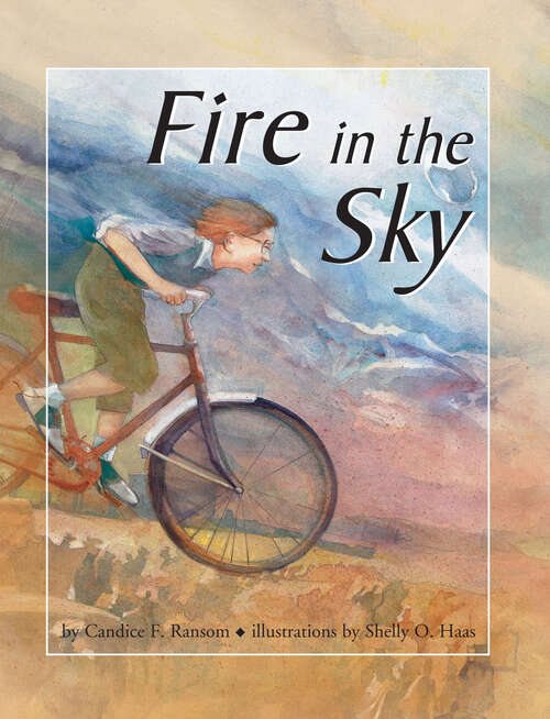 Book cover of Fire in the Sky