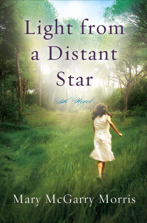 Book cover of Light from a Distant Star