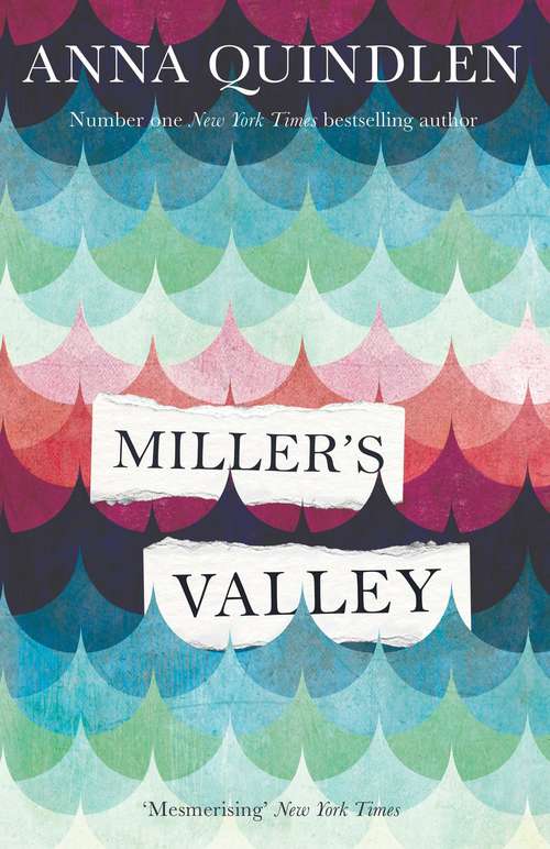 Book cover of Miller's Valley