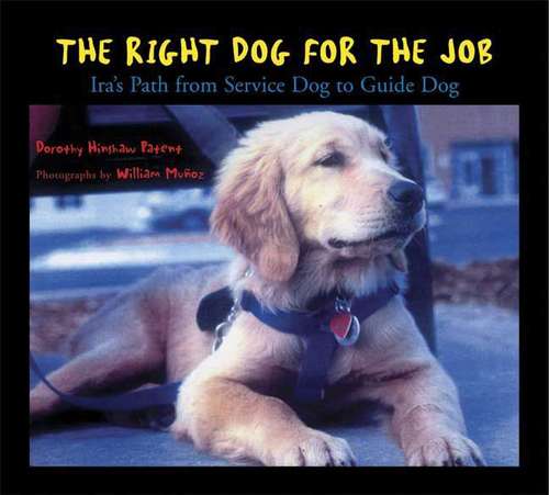 Book cover of The Right Dog for the Job: Ira's Path from Service Dog to Guide Dog