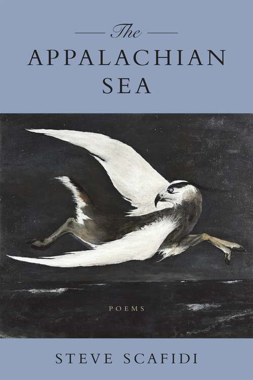 Book cover of The Appalachian Sea: Poems (Southern Messenger Poets)