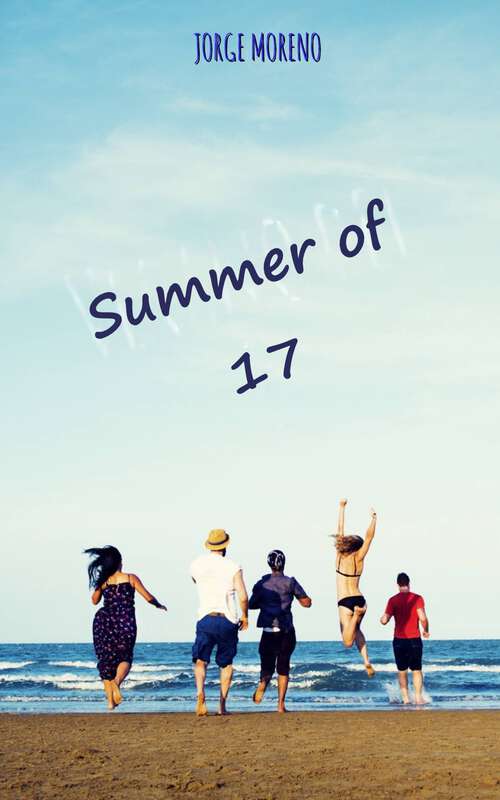 Book cover of Summer of 17