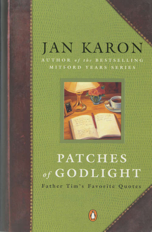 Book cover of Patches of Godlight