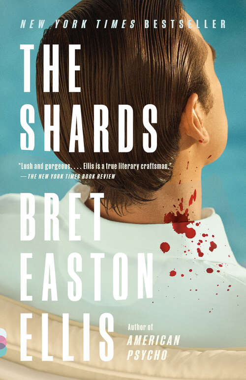 Book cover of The Shards: A novel