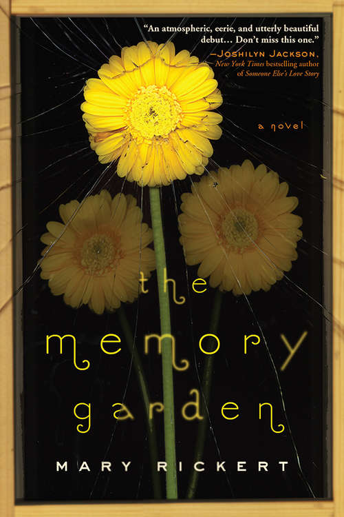 Book cover of The Memory Garden
