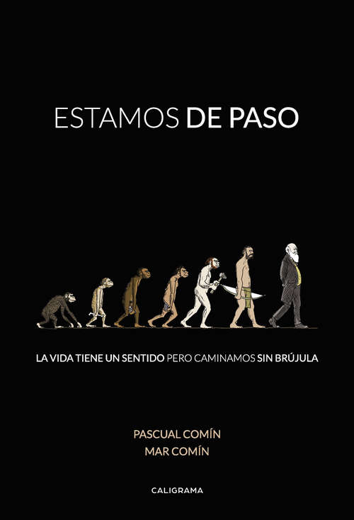 Book cover of Estamos de paso: La vida tiene un sentido pero caminamos sin brújula