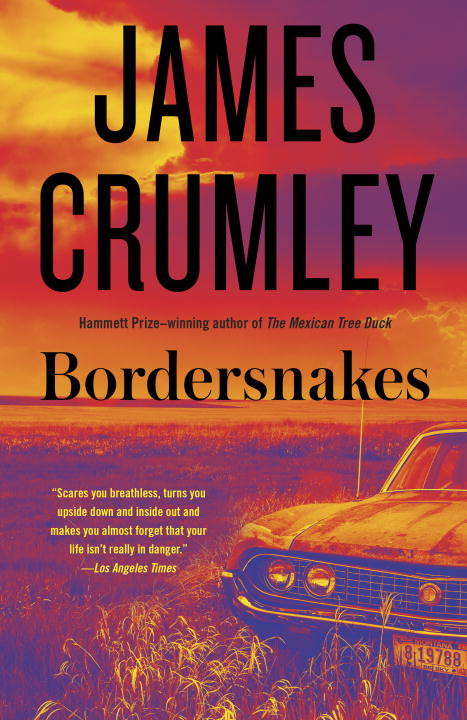 Book cover of Bordersnakes