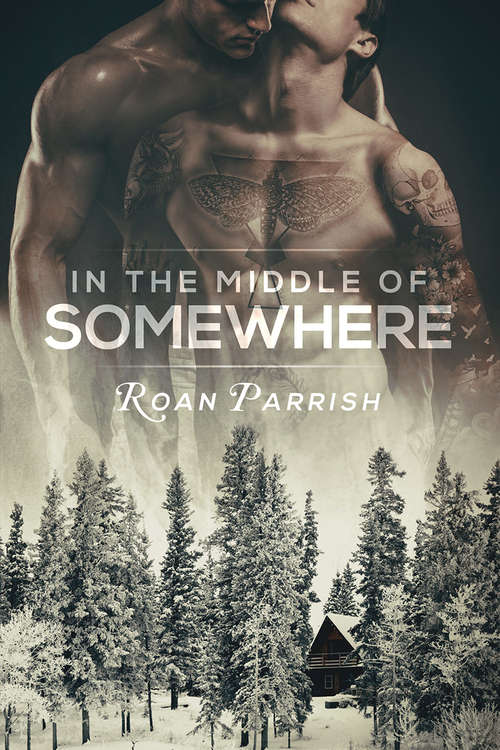 Book cover of In the Middle of Somewhere (Middle of Somewhere #1)
