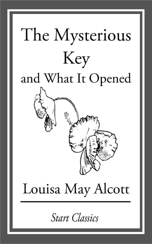 Book cover of The Mysterious Key: And What it Opened