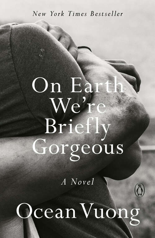 Book cover of On Earth We're Briefly Gorgeous: A Novel