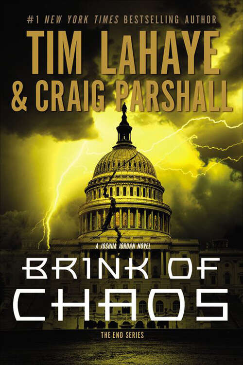 Book cover of Brink of Chaos (The End Series #3)