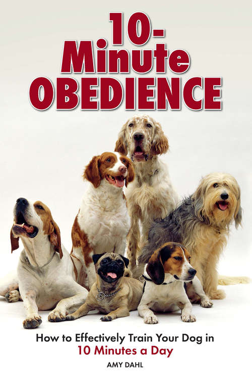Book cover of 10 Minute Obedience