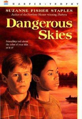 Book cover of Dangerous Skies