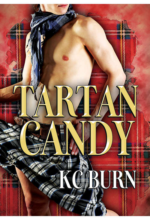 Book cover of Tartan Candy (Histoires De Tissus Ser.)