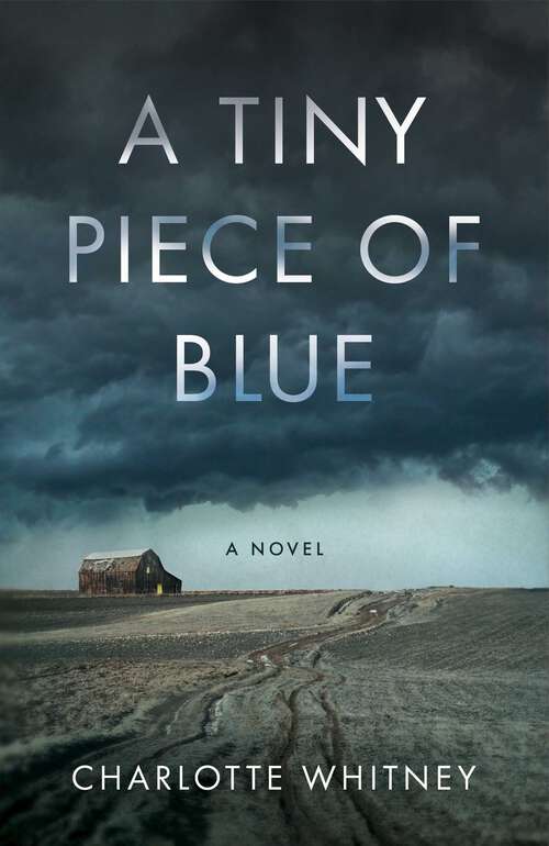 Book cover of A Tiny Piece of Blue: A Novel
