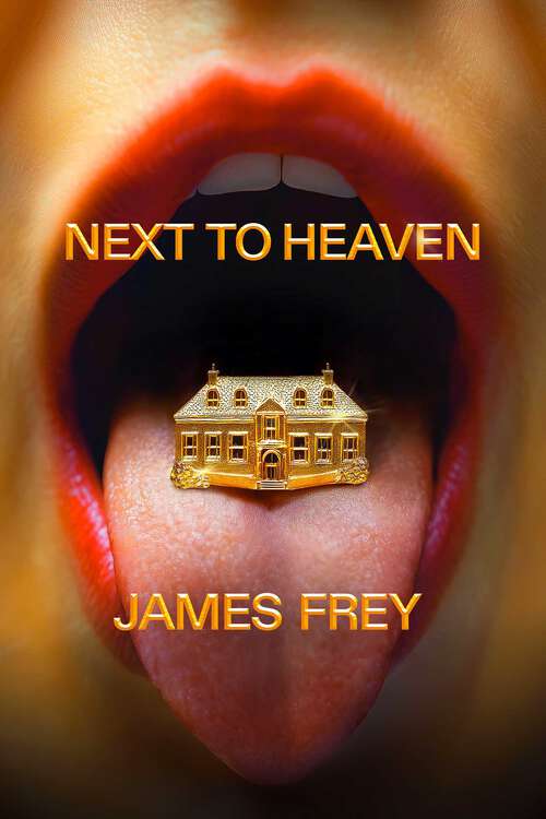 Book cover of Next To Heaven: A Novel
