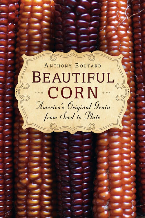 Book cover of Beautiful Corn: America's Original Grain from Seed to Plate