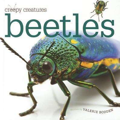 Book cover of Beetles
