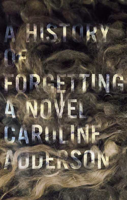 Book cover of A History of Forgetting