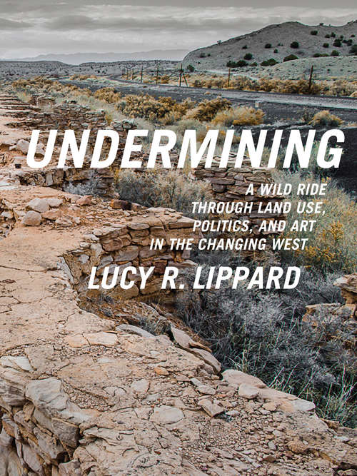 Book cover of Undermining