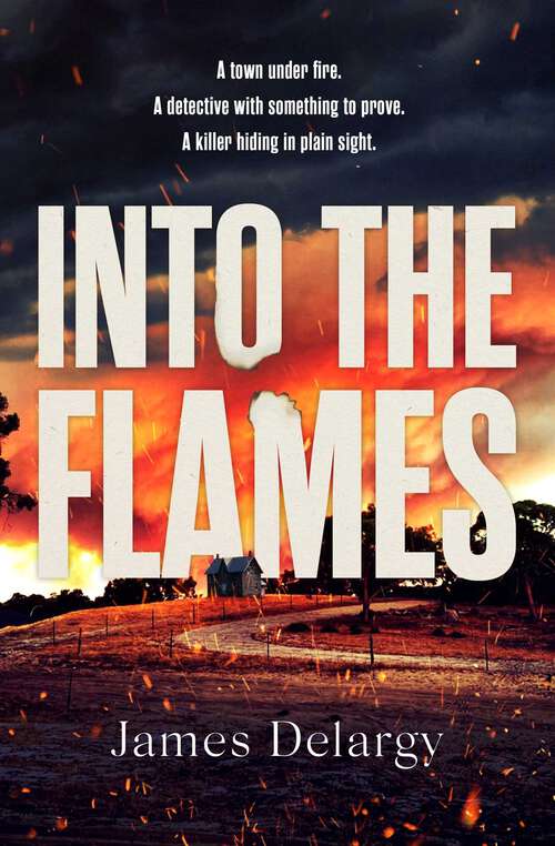 Book cover of Into the Flames: The scorching new summer thriller