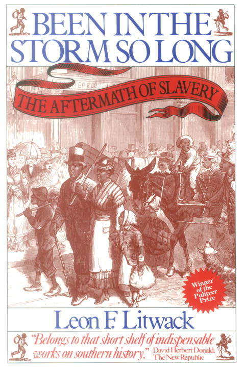 Book cover of Been in the Storm So Long: The Aftermath of Slavery
