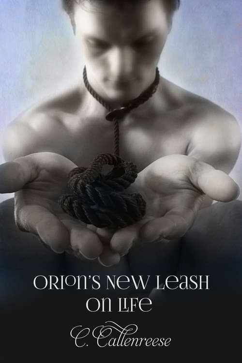 Book cover of Orion's New Leash on Life
