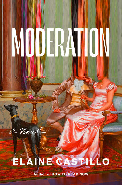 Book cover of Moderation: A Novel