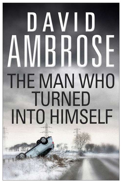 Book cover of The Man Who Turned Into Himself