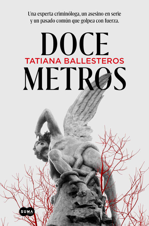 Book cover of Doce metros