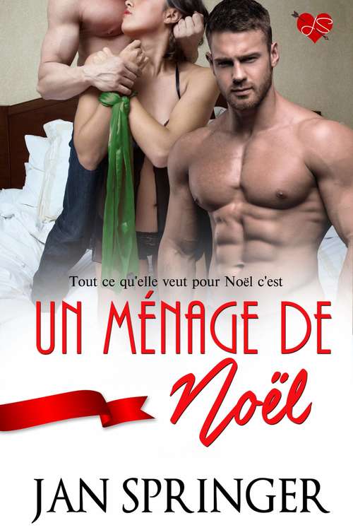 Book cover of Un ménage de Noël