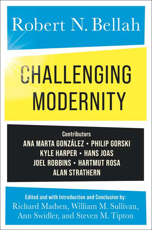 Book cover of Challenging Modernity