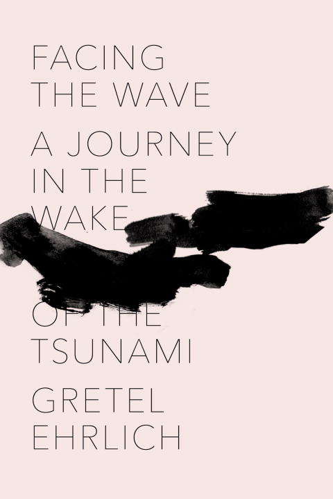 Book cover of Facing the Wave: A Journey in the Wake of the Tsunami