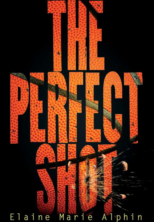 Book cover of The Perfect Shot (Carolrhoda Ya Ser.)