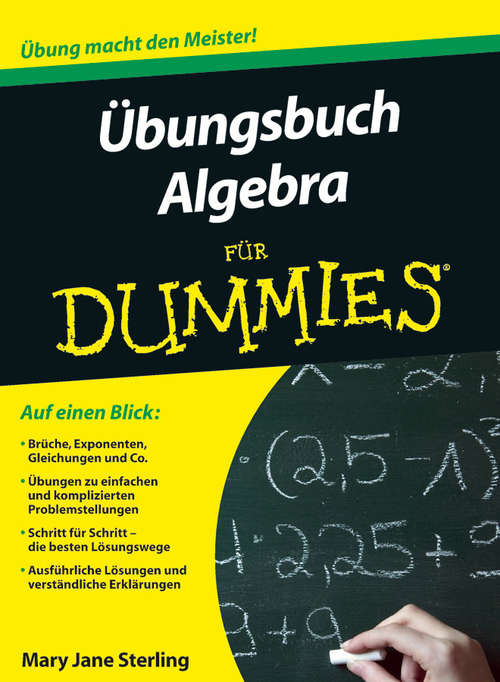 Ubungsbuch Algebra fur Dummies (Für Dummies)