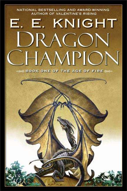 Book cover of Dragon Champion