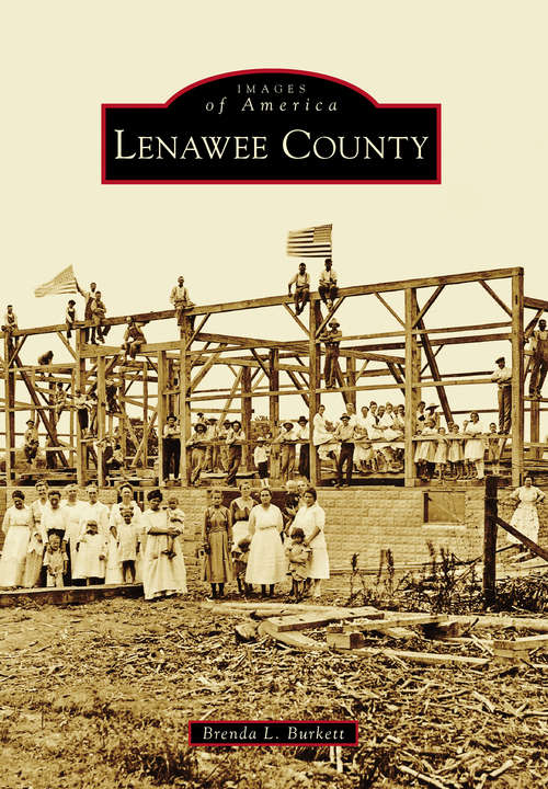 Book cover of Lenawee County