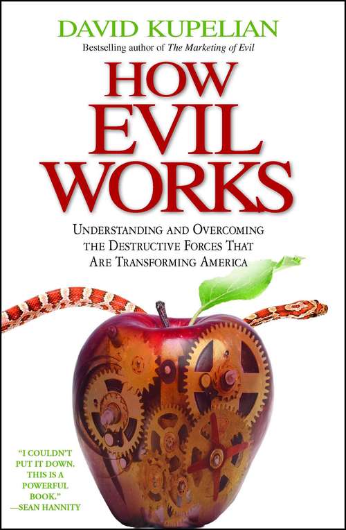 Book cover of How Evil Works: Understanding and Overcoming the Destructive Forces That Are Transforming America