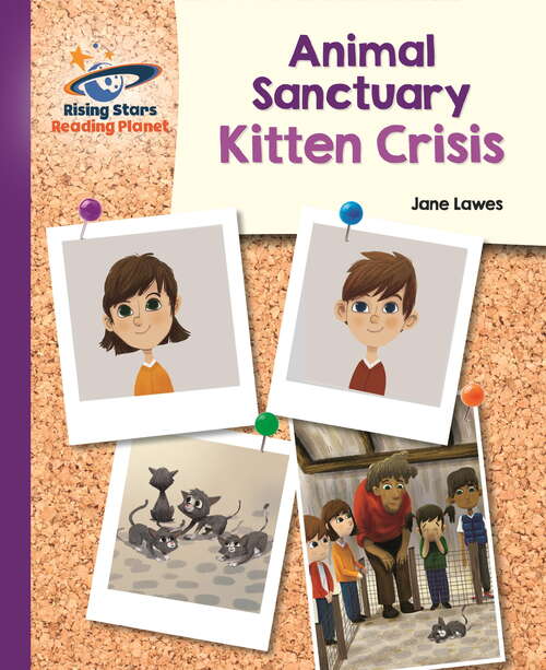 Animal Sanctuary Kitten Crisis