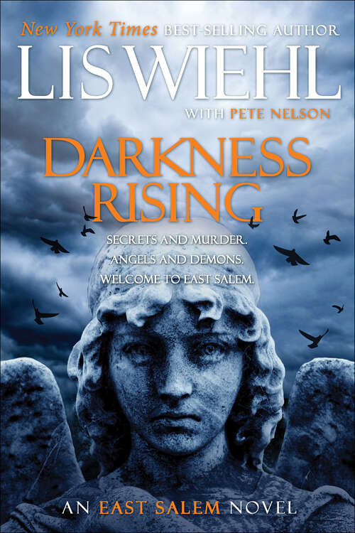 Book cover of Darkness Rising (The East Salem Novels #2)