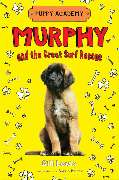 Book cover of Murphy and the Great Surf Rescue (Puppy Academy)