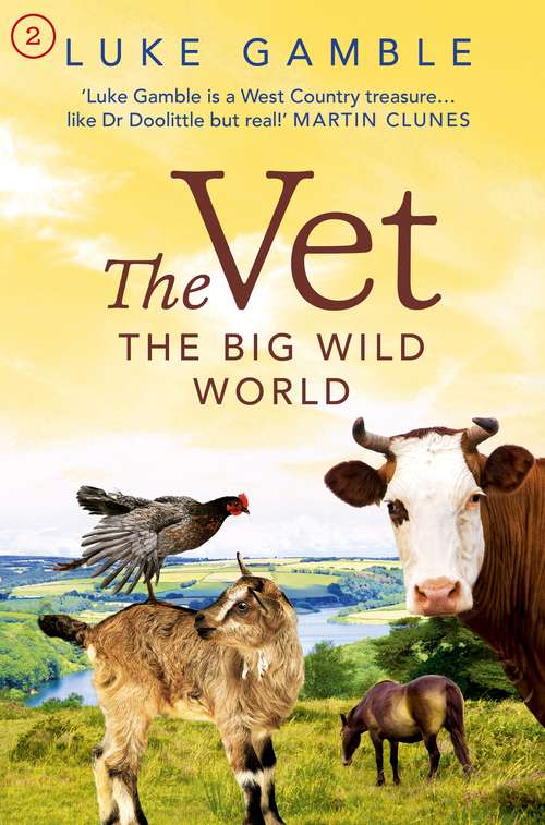 Book cover of The Vet: the Big Wild World