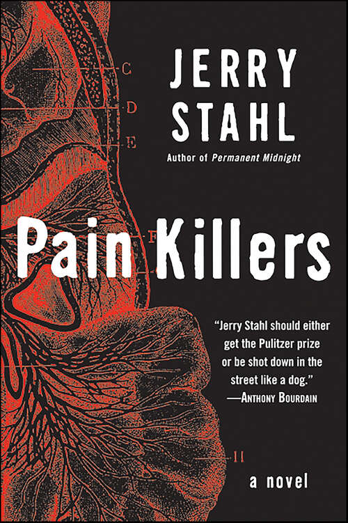 Book cover of Pain Killers: A Novel