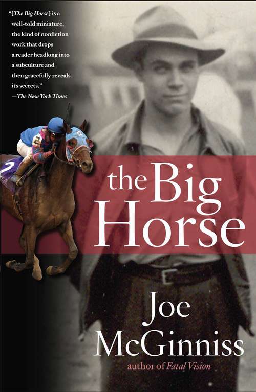Book cover of The Big Horse