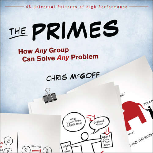 The Primes: How Any Group Can Solve Any Problem