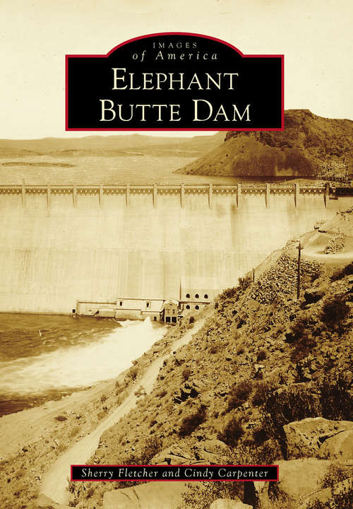 Book cover of Elephant Butte Dam