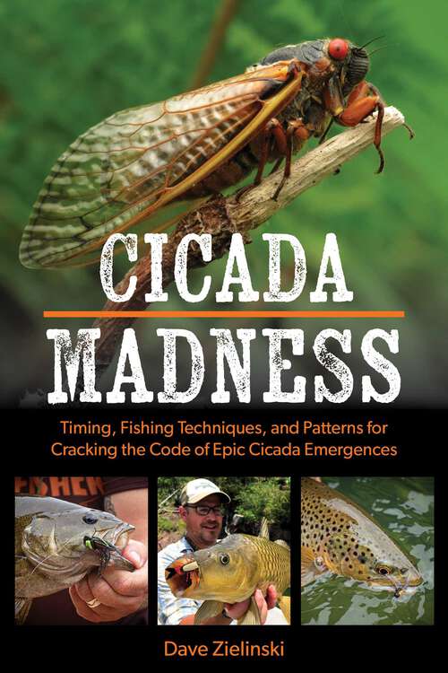 Book cover of Cicada Madness: Timing, Fishing Techniques, and Patterns for Cracking the Code of Epic Cicada Emergences