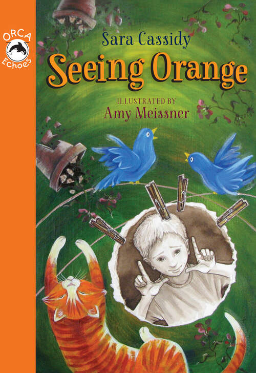 Book cover of Seeing Orange (Orca Echoes)